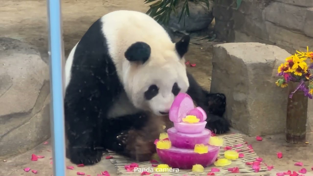 桜浜 お誕生日おめでとう🎉 成都でのお誕生日会❤