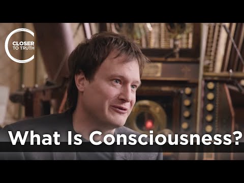 Bruce Hood - What Is Consciousness?
