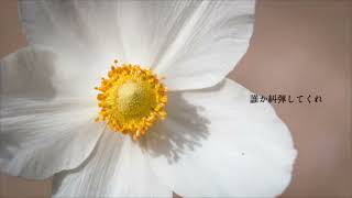 - ヒューマンエラー / 傘村トータ 歌ってみた 9Lana