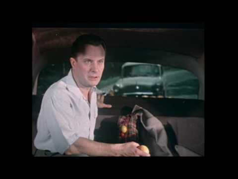 Кадры из фильма "К Черному морю"