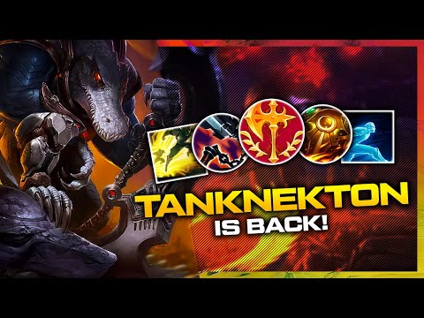 I snowballed with my season 13 tanknekton build and this is what happened...