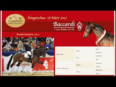 Baccardi Hengstschau Rüscher-Konermann 2017