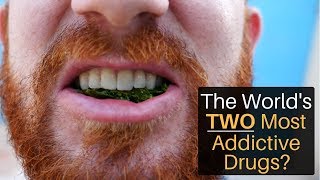 The World's 2 Most Addictive Drugs?