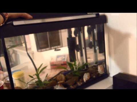 MARINA Style 5 Aquarium Kit - Betta Fish
