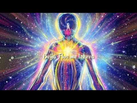 O VÔO DO BEIJA FLOR - ELISA CRISTAL - LEGENDADO