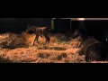 Secretariat Trailer US 2010