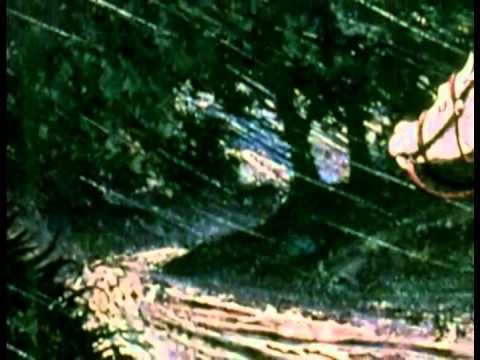 The Ultimate Tam O`Shanter