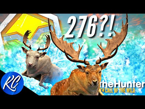 276 SCORING MAX WEIGHT DIAMOND FALLOW DEER?! Melanistic Fallow Deer Grind.. | Call of the Wild