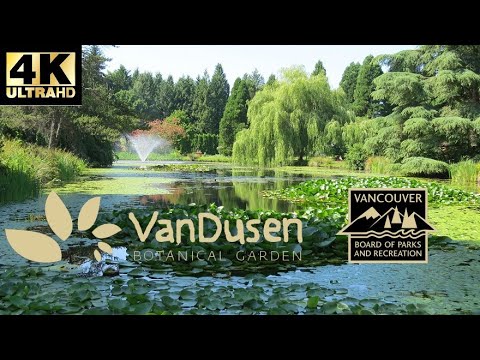 [4K UHD] VanDusen Garden - Walk Through - Vancouver, British Columbia, Canada