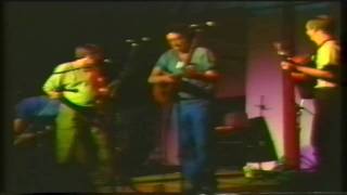 Dave Swarbrick &amp; Whippersnapper - The Shaun Van Vocht Medley / Come Give Me Your Hand