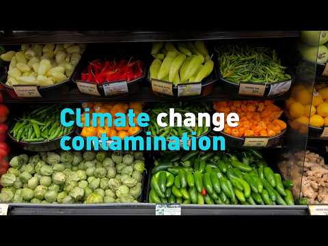 Extreme weather, climate change add new level of risk to food supply