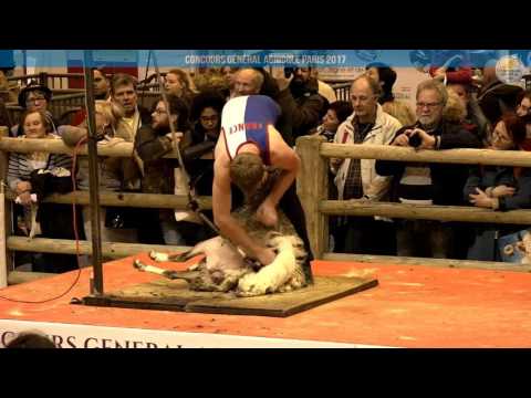 Voir la vidéo : Ring Ovins et Caprins du 02 mars 2017, partie 3