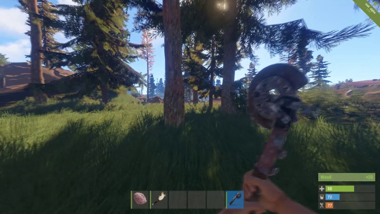 What /r/playrust is like