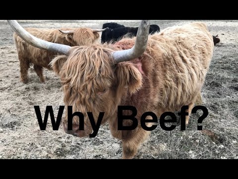 Defining our Context: ABC acres- episode #129