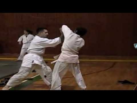 Aikido Seminar Yoshiaki Yokota 7 DAN Aikikai Hombu Dojo Beograd 2005      ( Video Archive III part )