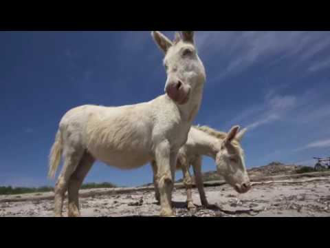 Poesie e Canzoni Rap In Sardo - PODERAI SA TERRA NOSTRA -