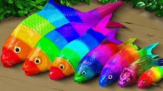 Stop Motion Colorful Fish | Mukbang tiny crab, golden egg, spotted fish - rainbow catfish