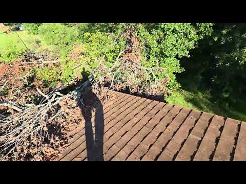 Debris Removal & Roofing Inspection