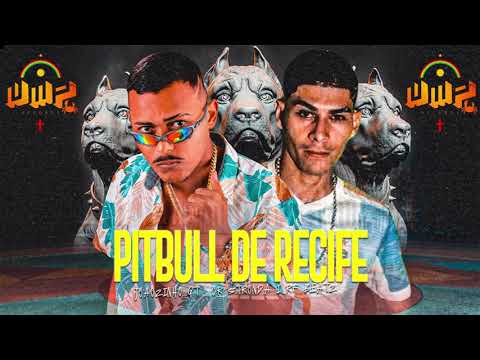 JOÃOZINHO GT - CR STRONDA 👽 PITIBULL DE RECIFE (LYRIC VIDEO) - BREGAFUNK 🎶 NMP RECORDS 🦀 2023