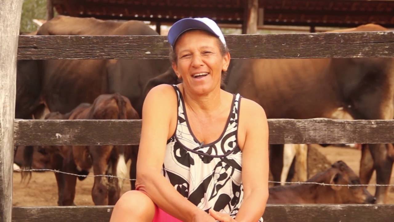 8 meses de assistência técnica e extensão rural do sistema produtivo MAIS Leite/Adapta Sertão