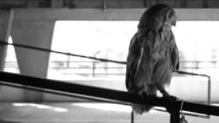 Devendra Banhart - Lend me your teeth