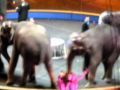 Circus 2010 Barnum S Funundrum MSG Pt 2 Of 2