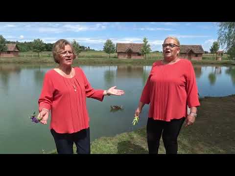 Tajne uspomene - Nigdje kraja kao Posavskoga - Novo 2023. (official video Music)