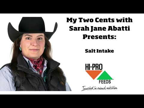 Salt Intake for Cattle
