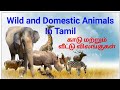 Animal Names In Tamil And English Wild And Domestic Animals Animal Names For Kids L Animals Video