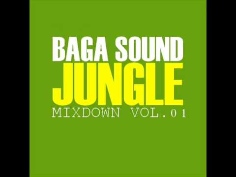 Baga Sound - Jungle Mixdown Vol. 01