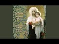 Salve Regina