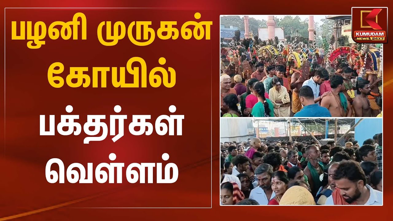 பழனி முருகன் கோயில் பக்தர்கள் வெள்ளம் | Palani Murugan Temple | Kumudam News