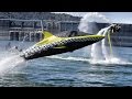 Robotic Dolphin and Flying Water Car - In 4K! With ...