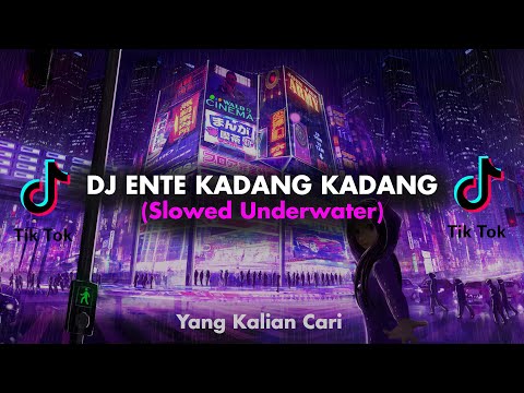 DJ ISTILAH KATA ENTE KADANG KADANG (SLOWED+UNDERWATER)