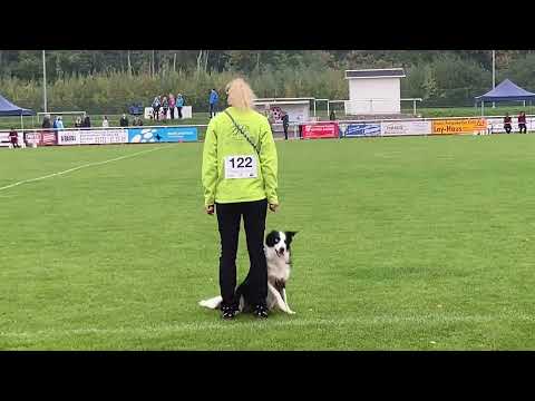 VDH Deutsche Meisterschaft THS 2022 - Lucies VK3 (270 Punkte, 59 UO, 8. Platz Aktivenklasse)