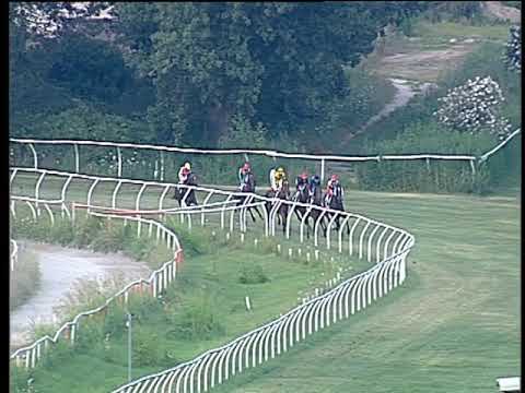 Galoppo 27/07/2019 - 4ª corsa