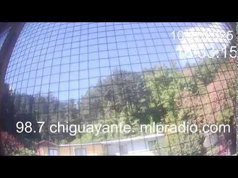 Chiguayante Bio Bio Chile, en Vivo. Live Cam, Camara en vivo.
