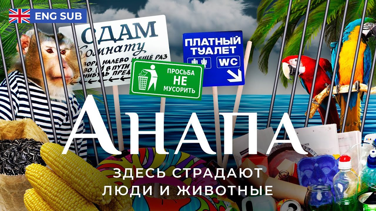 Анапа: город-живодерня | Как уничтожили главный советский курорт