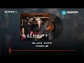 Black Cats - Emshab OFFICIAL AUDIO | بلک کتس - امشب