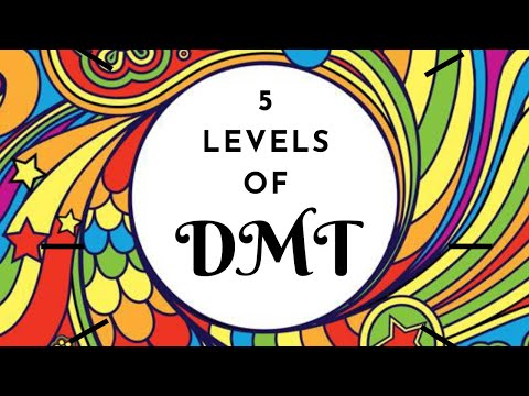 5 Levels of DMT in Under 5 Minutes