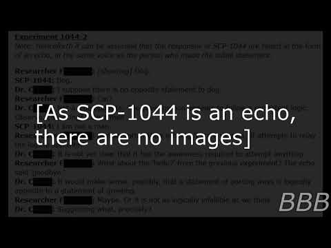 SCP 1044   The Contradictory Echo