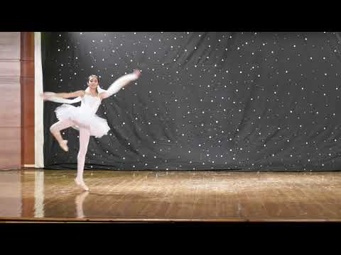 Hana Elkheshen _Variation of shadow from ballet La Bayadere