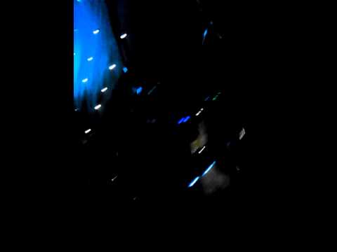 Mushrooms, Cari Golden + Tegui! :)