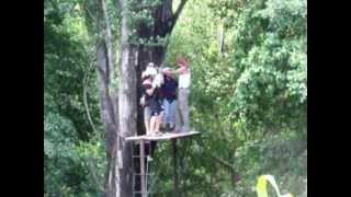 preview picture of video 'Camping Los Martinez, Laja CANOPY'