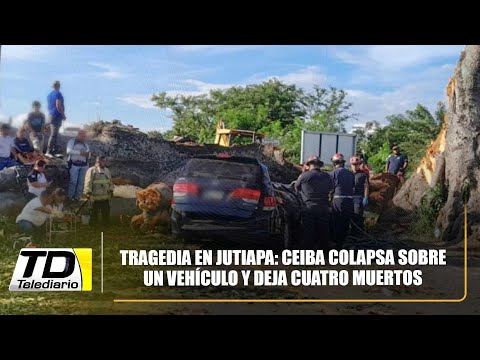 Tragedia en Jutiapa: ceiba colapsa sobre un vehículo y deja cuatro muertos