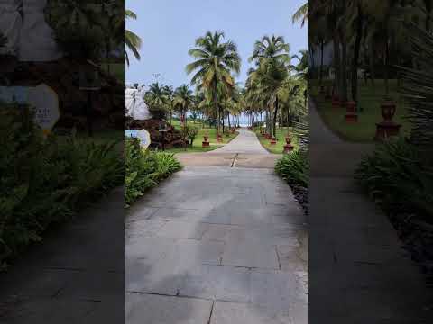 Walk to the beach 🏖️ at Novotel Dona Silvia Resort, Goa #beach #cavelossim #goa #accor #hotel