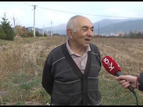 Posledice paljenja njiva