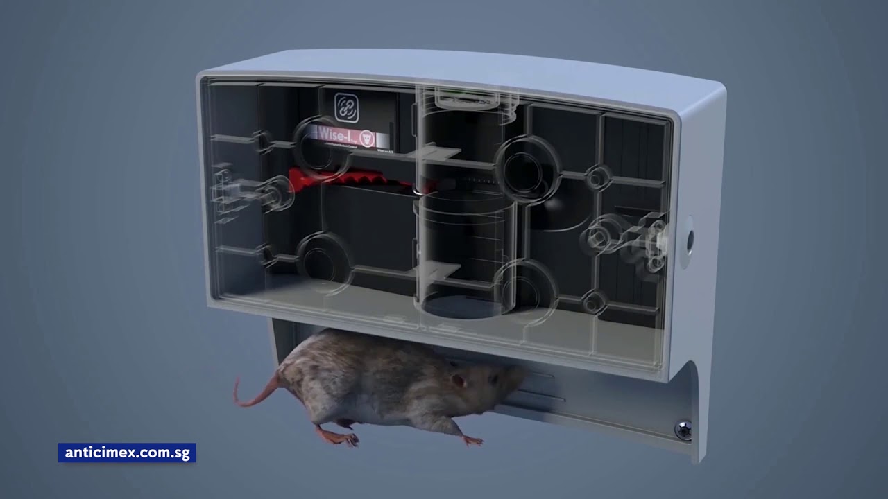 NEW Anticimex SMART System Introduction