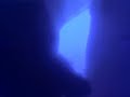 Moaning Sound On My The Land Before Time 1989 Vhs