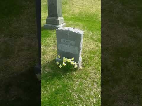 Father Thomas Joyce